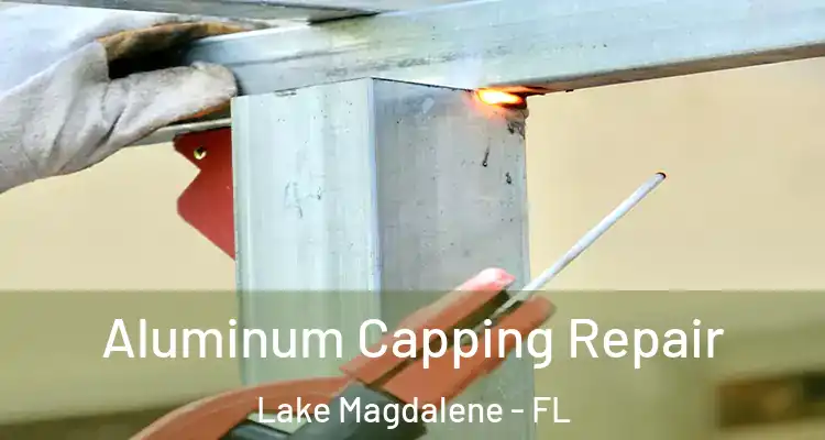  Aluminum Capping Repair Lake Magdalene - FL