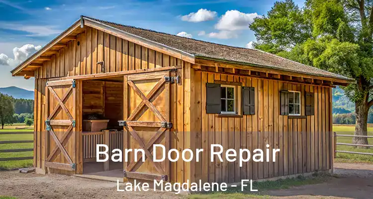  Barn Door Repair Lake Magdalene - FL