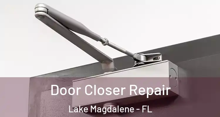  Door Closer Repair Lake Magdalene - FL