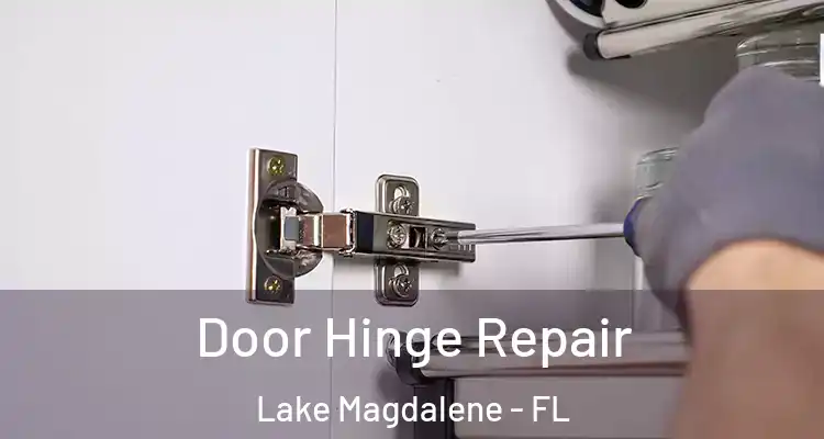  Door Hinge Repair Lake Magdalene - FL
