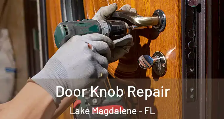  Door Knob Repair Lake Magdalene - FL
