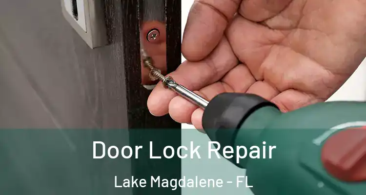  Door Lock Repair Lake Magdalene - FL