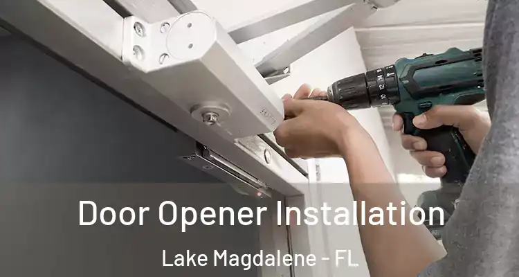 Door Opener Installation Lake Magdalene - FL