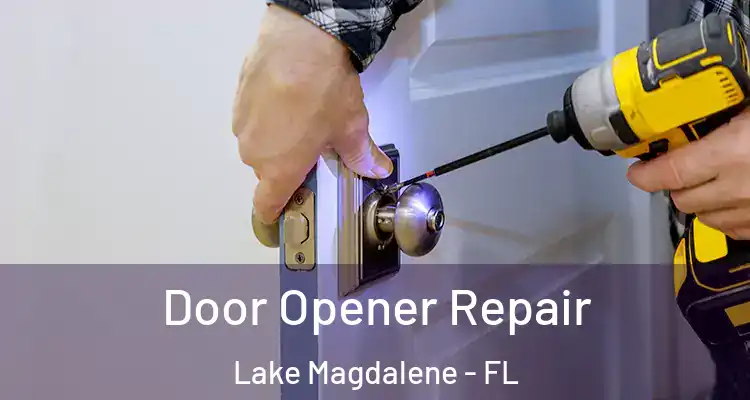  Door Opener Repair Lake Magdalene - FL