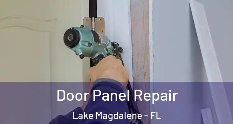  Door Panel Repair Lake Magdalene - FL