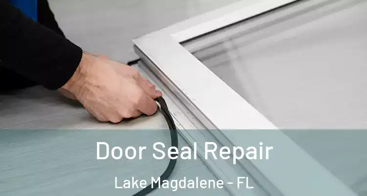  Door Seal Repair Lake Magdalene - FL