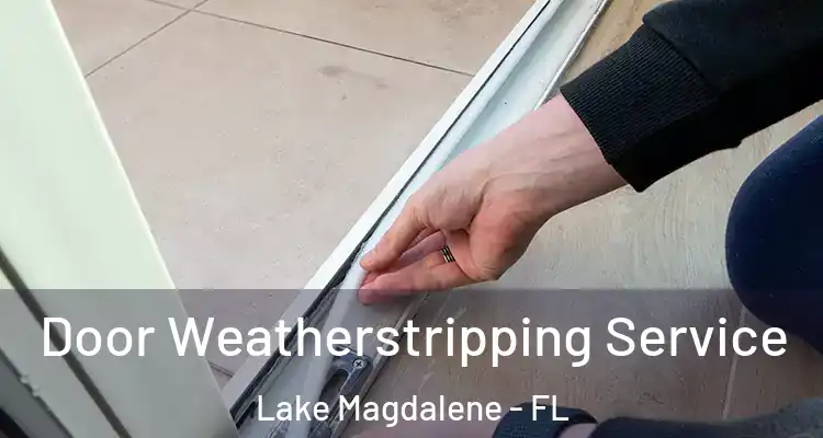  Door Weatherstripping Service Lake Magdalene - FL