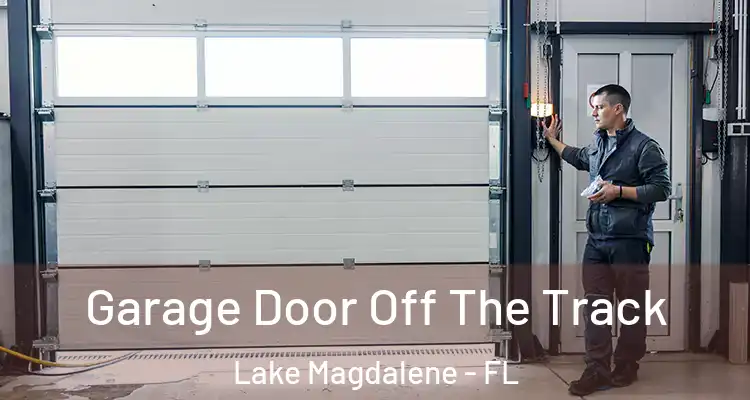  Garage Door Off The Track Lake Magdalene - FL