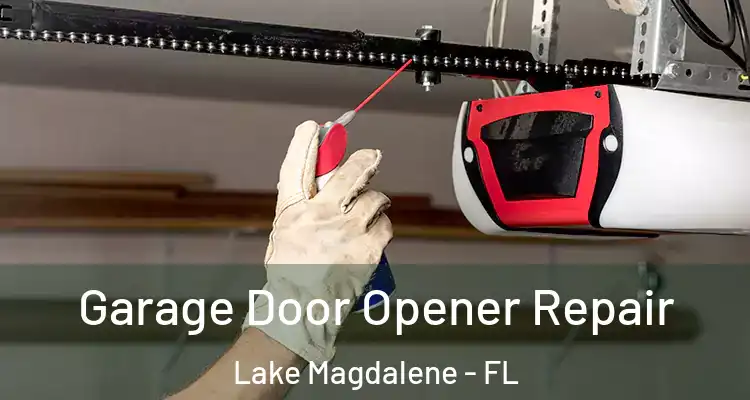  Garage Door Opener Repair Lake Magdalene - FL