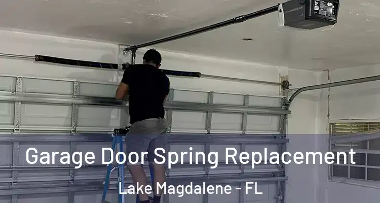  Garage Door Spring Replacement Lake Magdalene - FL