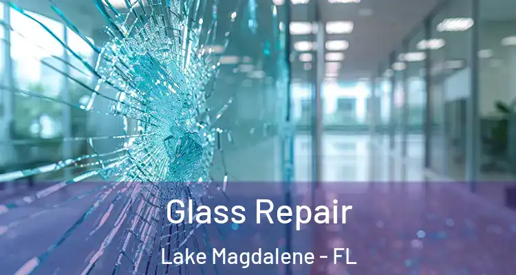  Glass Repair Lake Magdalene - FL