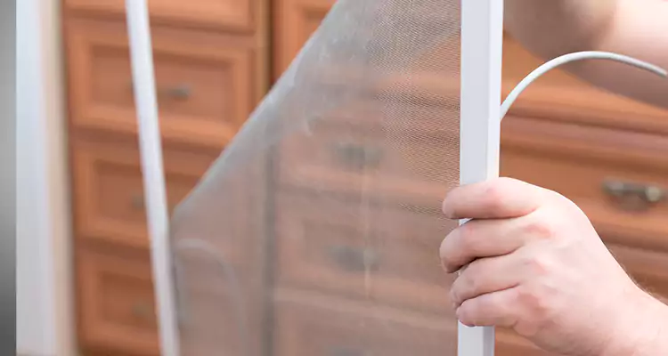 Privacy Mesh Screen Door Installation in Lake Magdalene, FL