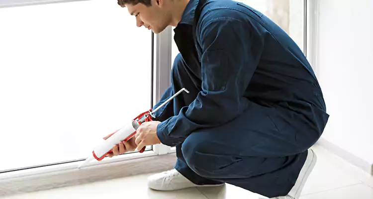 Window Glass Caulk Repair in Lake Magdalene, FL