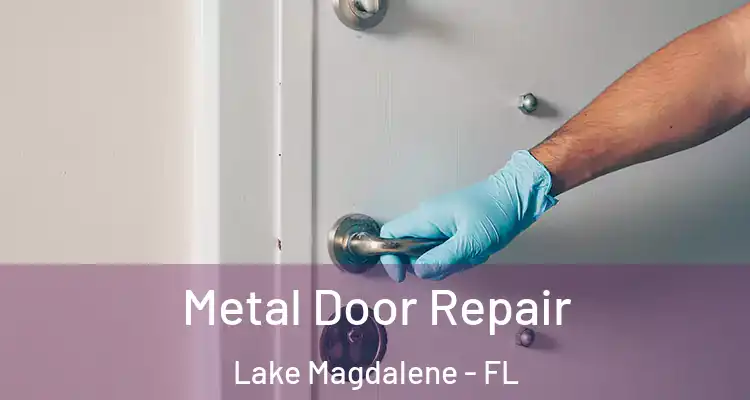  Metal Door Repair Lake Magdalene - FL