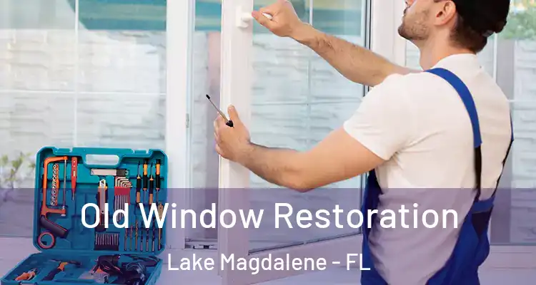  Old Window Restoration Lake Magdalene - FL