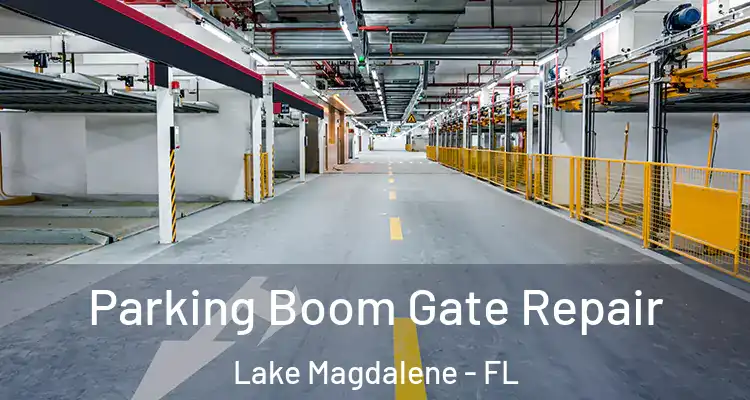  Parking Boom Gate Repair Lake Magdalene - FL
