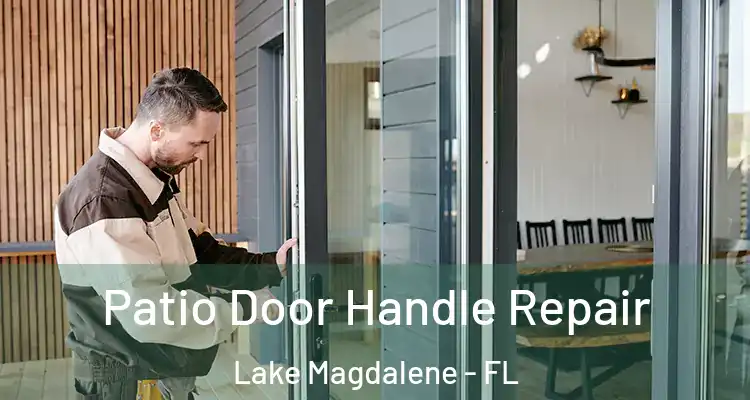  Patio Door Handle Repair Lake Magdalene - FL