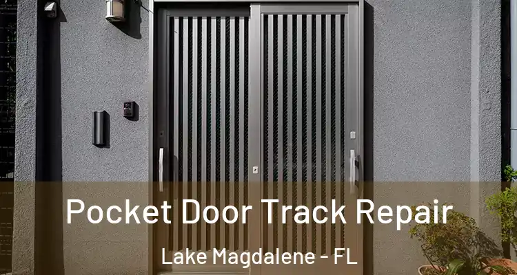  Pocket Door Track Repair Lake Magdalene - FL