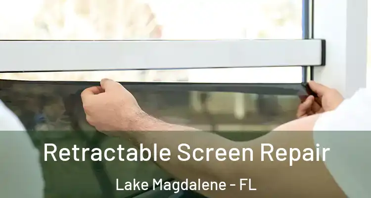  Retractable Screen Repair Lake Magdalene - FL