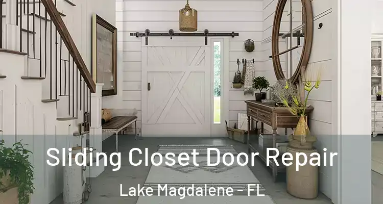  Sliding Closet Door Repair Lake Magdalene - FL