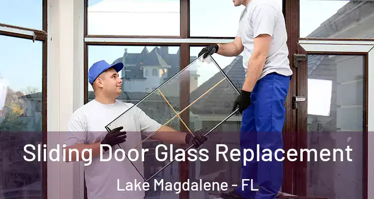  Sliding Door Glass Replacement Lake Magdalene - FL