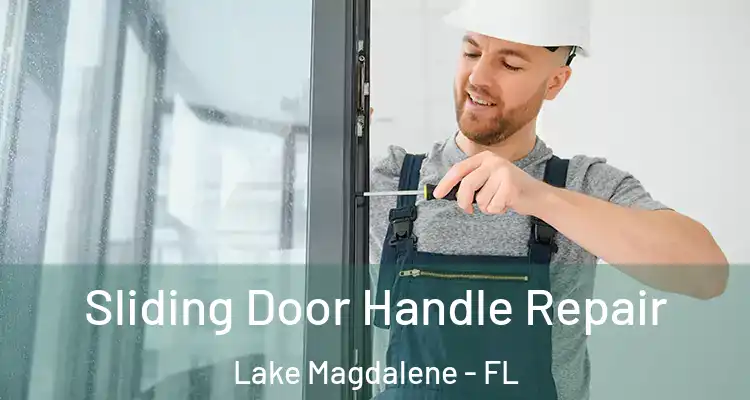  Sliding Door Handle Repair Lake Magdalene - FL