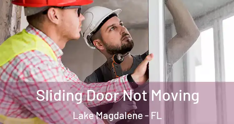  Sliding Door Not Moving Lake Magdalene - FL