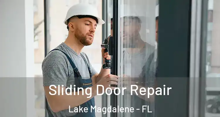  Sliding Door Repair Lake Magdalene - FL