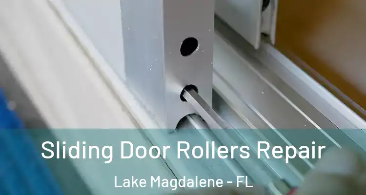  Sliding Door Rollers Repair Lake Magdalene - FL