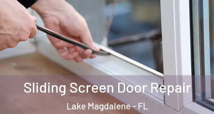  Sliding Screen Door Repair Lake Magdalene - FL
