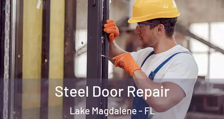  Steel Door Repair Lake Magdalene - FL