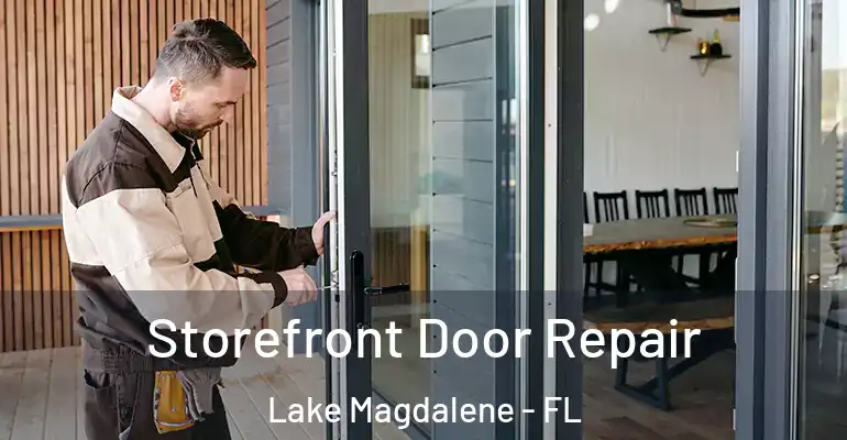  Storefront Door Repair Lake Magdalene - FL