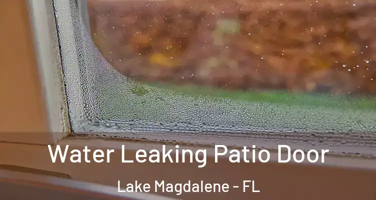  Water Leaking Patio Door Lake Magdalene - FL