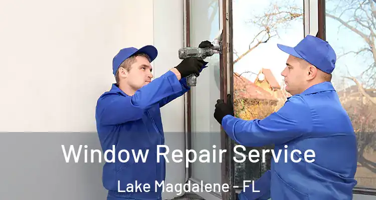  Window Repair Service Lake Magdalene - FL
