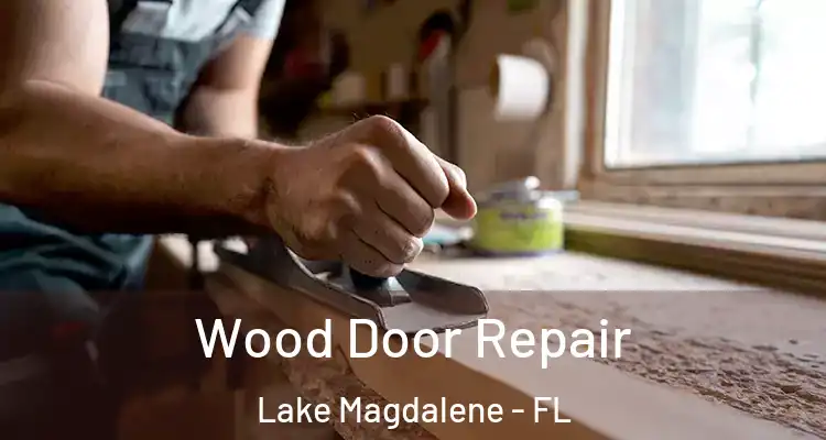  Wood Door Repair Lake Magdalene - FL